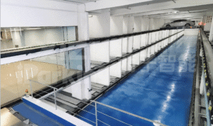 Hệ thống tự động nhận phương tiện